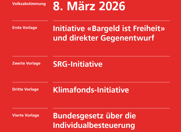Bundesgesetz über die Individualbesteuerung